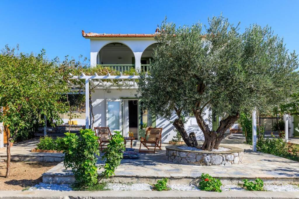 Nina-Myrtia Countryside House Skopelos Ditropo Eksteriør billede